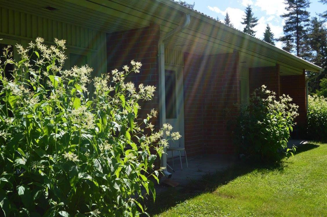 Hotelli Ravintola Tiilikka Rautavaara Buitenkant foto