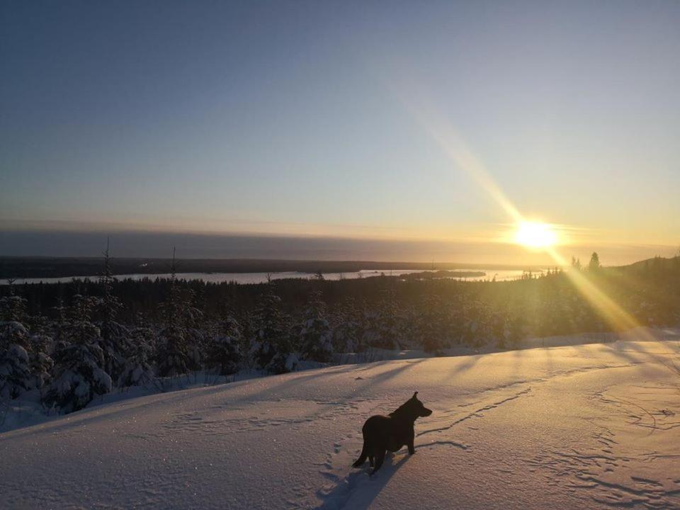 Hotelli Ravintola Tiilikka Rautavaara Buitenkant foto